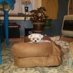 Meet your Posher, David